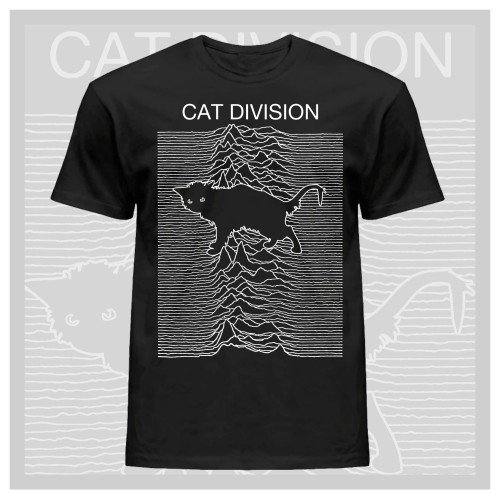 CAT DIVISION widok.jpg